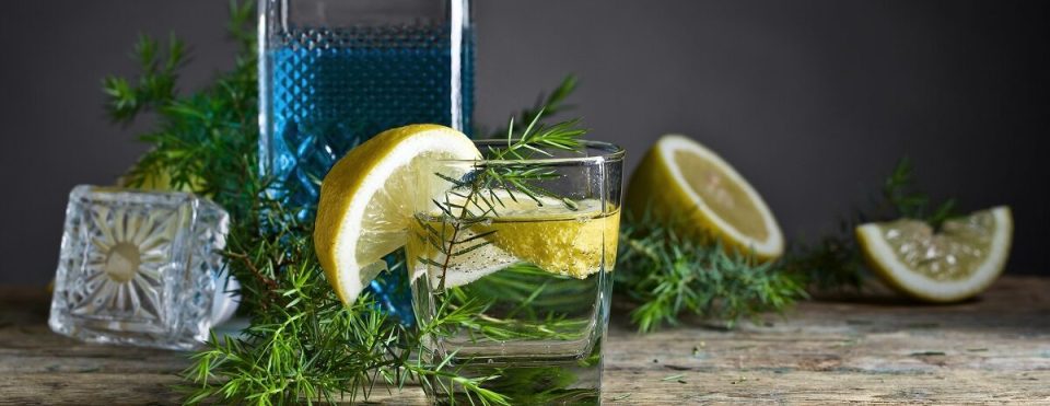 m&s gin bottle lemon and rosemary